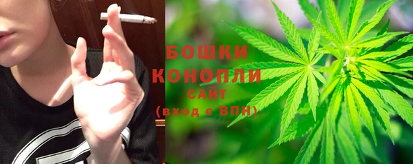 хмурый Лагань