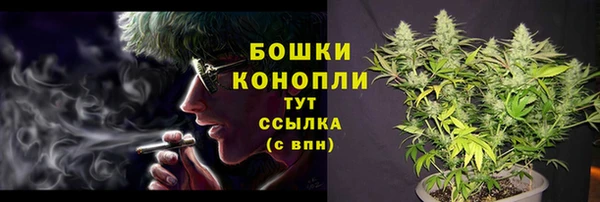 хмурый Лагань