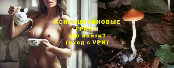 хмурый Лагань