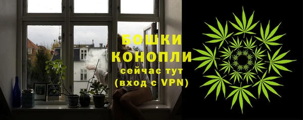 ПСИЛОЦИБИНОВЫЕ ГРИБЫ Кукмор
