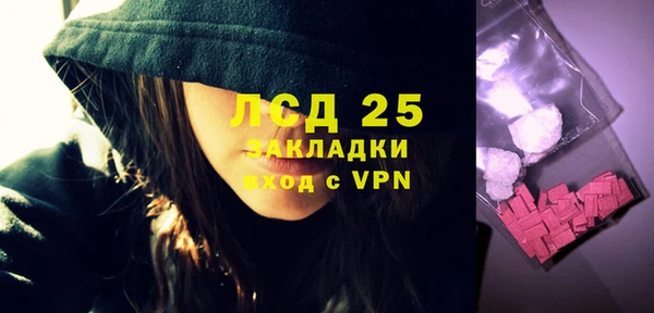 хмурый Лагань