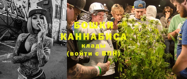 хмурый Лагань