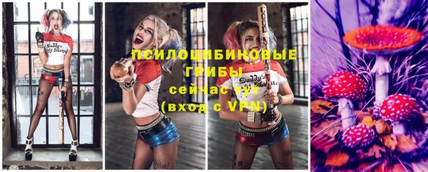 Альфа ПВП Ладушкин