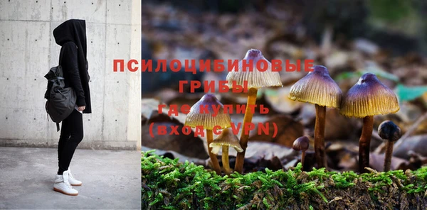 хмурый Лагань