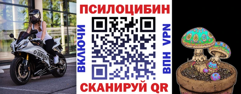Псилоцибиновые грибы Cubensis Мамадыш